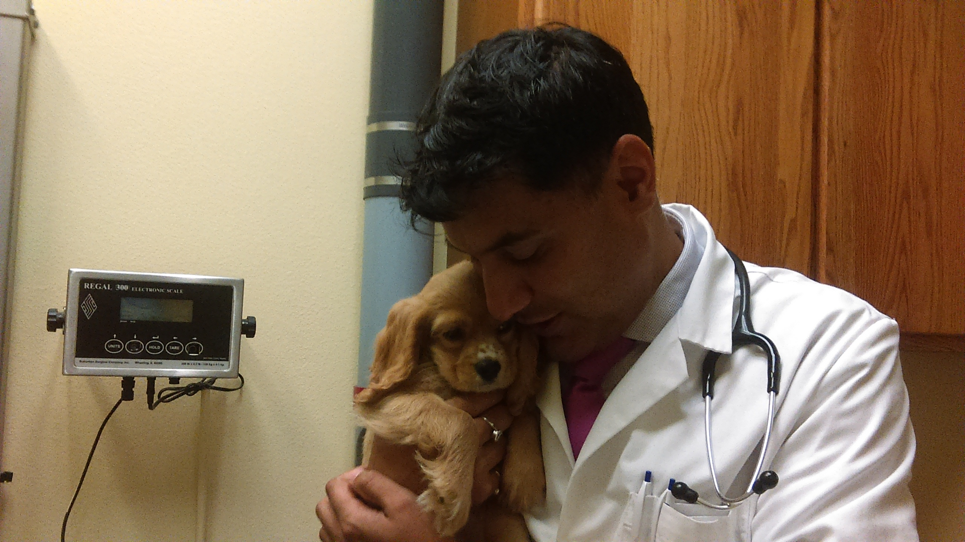 Mobile Pet Hospital Home