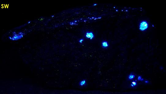 fluorescent SCHEELITE, QUARTZ, CLINOZOISITE - Trumbull (Old Mine Park), Fairfield County, Connecticut, USA