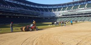 Field Renovation