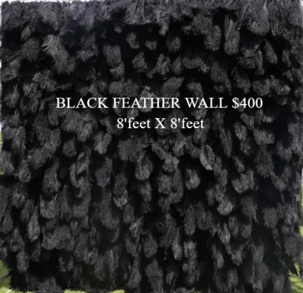 BLACK FEATHERWALL FOR RENT