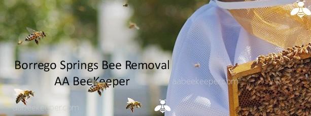 Borrego Springs Bee Removal and Rescue