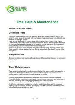 Lichfield Tree Surgeon, Lichfield Tree Surgery, Walsall Tree Surgeon, Sutton Coldfield Tree Surgeon