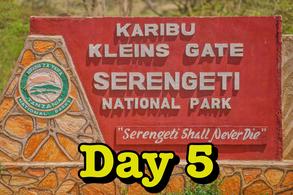 2025 Africa Safari Tanzania Serengeti TAASA wildlife Kleins Gate