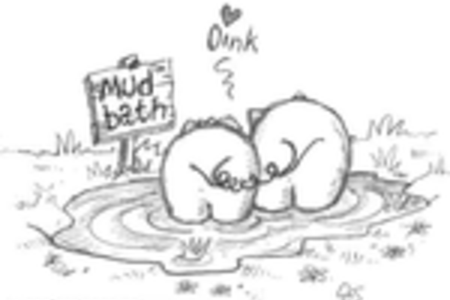 cute couple of cartoon pigs in a mud bath original sketch for valentines day card