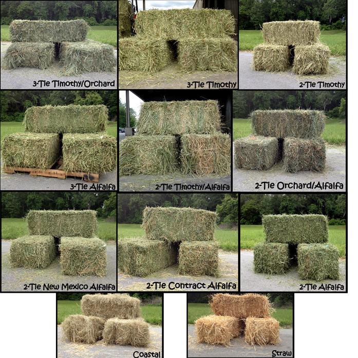 List 101+ Pictures Pictures Of Different Types Of Hay Grass Full HD, 2k, 4k