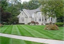  beautifully manicured lawn by Presentato Landscape