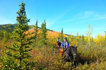 Horseback trail rides in Denali