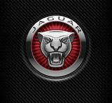 Jaguar Service Brisbane