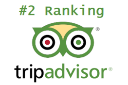 Trip Advisor Rating And Reviews