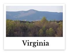 Virginia online chiropractic CE seminars continuing education courses for chiropractors credit hours state board approved CEU chiro courses live DC events