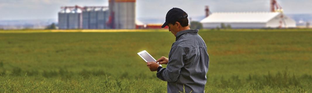 Farm Peer Group