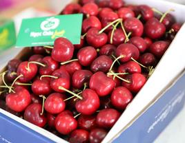 Cherry đỏ Mỹ