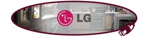 alt="lg logo"