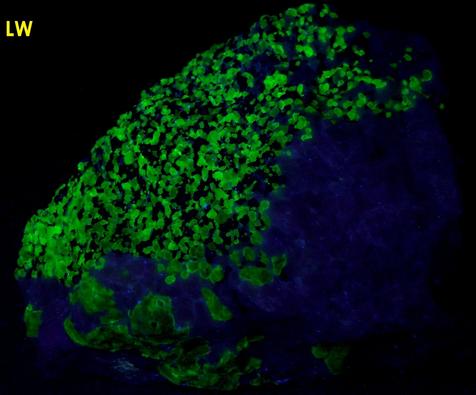 fluorescent sw lw willemite, franklinite, kutnahorite, kutnohorite, Sterling Mine, Sterling Hill, Ogdensburg, Franklin Mining District, Sussex County, New Jersey