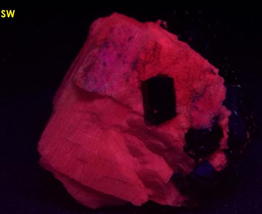 FLUORO-RICHTERITE, fluorescent CALCITE - Wilberforce area, Haliburton County, Ontario, Canada - ex Eugene Carmichael