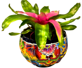 Talavera Pottery Garden Dragon Statue