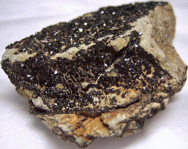 Titanium ANDRADITE MELANITE, California State Gem Mine (Dallas Gem Mine; Benitoite Gem Mine; Benitoite Mine; Gem Mine), Dallas Gem Mine area, San Benito River headwaters area, New Idria District, Diablo Range, San Benito County, California, USA, ex Rutgers Geology Museum