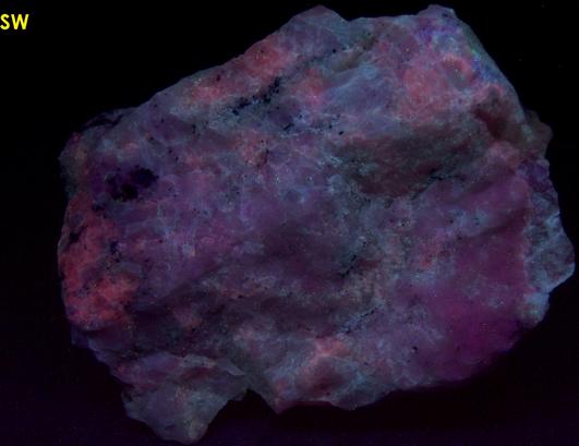 tenebrescent fluorescent SODALITE HACKMANITE - Dungannon Township, Hasting County, Ontario, Canada - ex Franklin MiningMuseum, J.Baum