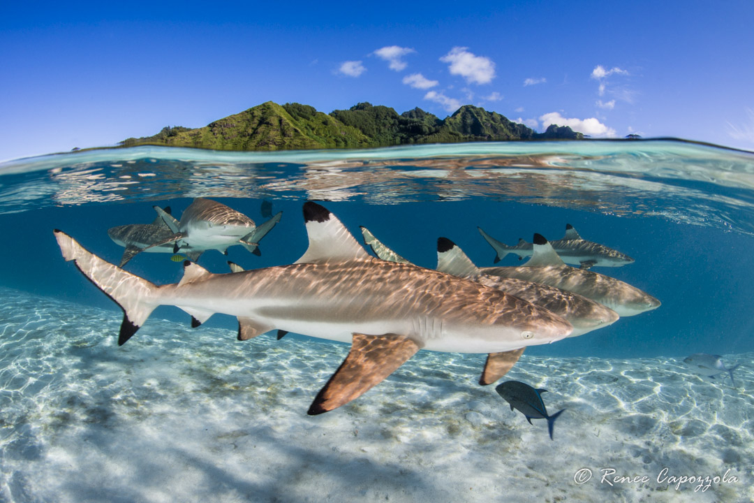 foto door olympus tough tg-6