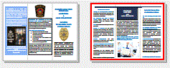 PDF on this Service