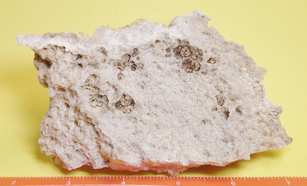 Quartz & Laumontite crystals Prospect Park Quarry, Passaic Co., New Jersey