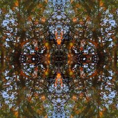 Long Scarf from Ripple & Leaf, Fine Art Collage