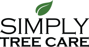 Simply Tree Care providing tree services including tree trimming and tree removal in Omaha NE