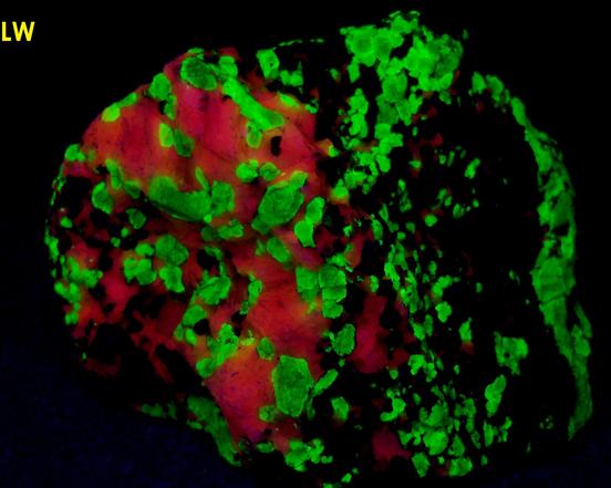 fluorescent Willemite and Calcite, black Franklinite, Franklin Mine, Franklin, Franklin Mining District, Sussex County, New Jersey, USA