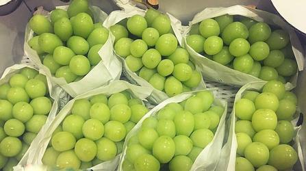 nho nhật, nho sữa cao cấp nhập khẩu từ nhật