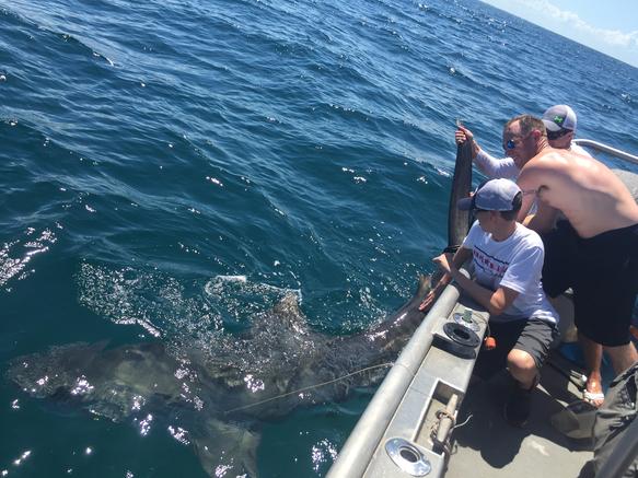 Santiva Salt Water Fishing - Sharks and Sea Trout on Pine Island Sound