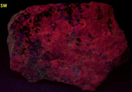 fluorescent Sodalite Aegirine Acmite - Poudrette quarry (Demix quarry; Uni-Mix quarry; Desourdy quarry; Carrière Mont Saint-Hilaire; MSH), Mont Saint-Hilaire, La Vallée-du-Richelieu RCM, Montérégie, Québec, Canada