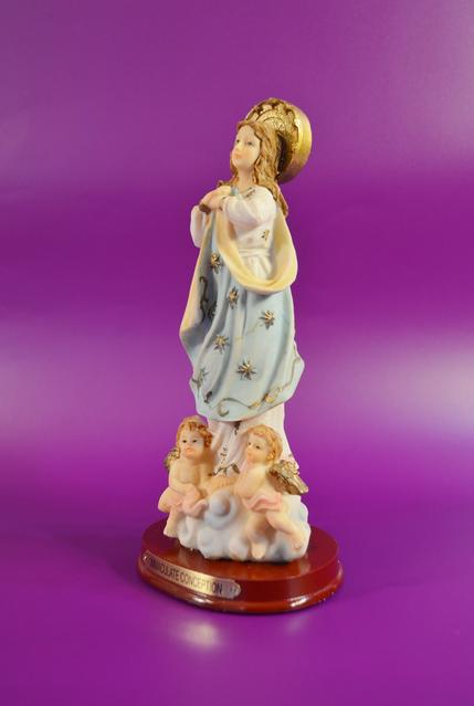 our lady of the immaculate conception