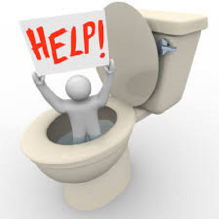 little man in a toilet asking for help with a sewage backup cleanup in Pinellas County, FL.