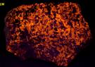 fluorescent Sodalite Aegirine Acmite - Poudrette quarry (Demix quarry; Uni-Mix quarry; Desourdy quarry; Carrière Mont Saint-Hilaire; MSH), Mont Saint-Hilaire, La Vallée-du-Richelieu RCM, Montérégie, Québec, Canada