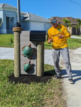 dockpole mailbox turtles