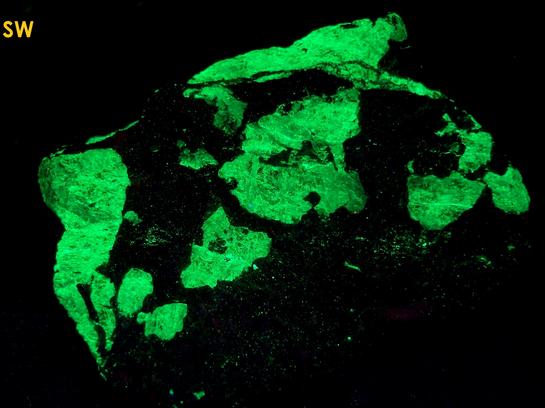 fluorescing SPHALERITE, WILLEMITE,with FRANKLINITE MAGNETITE - Sterling Mine, Sterling Hill, Ogdensburg, Franklin Mining District, Sussex County, New Jersey, USA