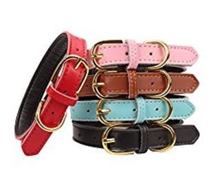 Bernedoodle Leather Collar