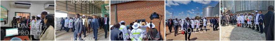 Emmerson Dambudzo Mnangagwa visit Hongdefa mill silo project