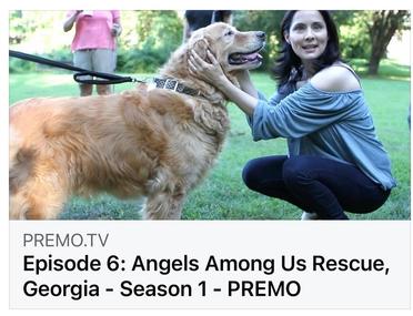 Episode 6 - The Canine Condition Visits Angels Among Us