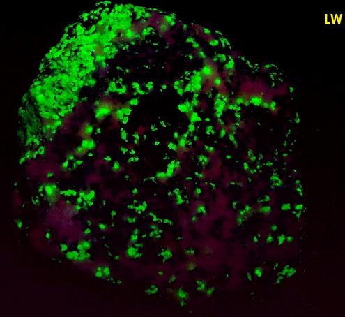 FRANKLINITE, fluorescent SW LW WILLEMITE and CALCITE - Franklin Mine, Franklin, Franklin Mining District, Sussex County, New Jersey, USA - Franklinite type locality - sold