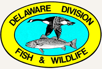 Hunting Delaware