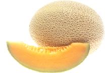 Cantaloupe