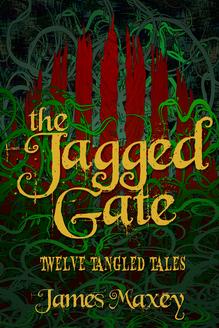 The Jagged Gate