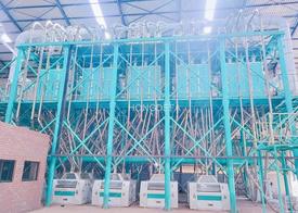 500ton maize mill and 200ton wheat mill and silos for President of Zimbabwe supply by Hongdefa