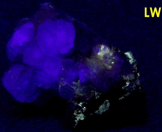 GALENA, QUARTZ, fluorescent FLUORITE, ANGLESITE - Blanchard Mine (Portalas-Blanchard Mine; Portales-Blanchard Mine; Hansonburg Lead mine; McCarthy Lead mine), Bingham, Hansonburg District, Socorro County, New Mexico, USA - ex Parker Minerals