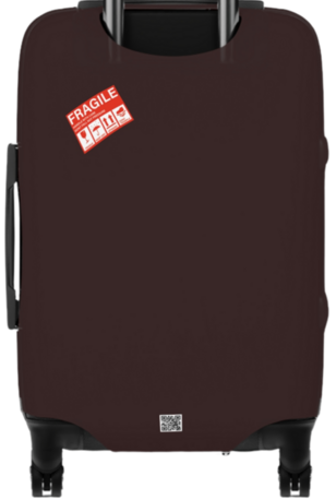 "NOTHING TO DECLARE" Carry On Suitcase Protector. Check Design