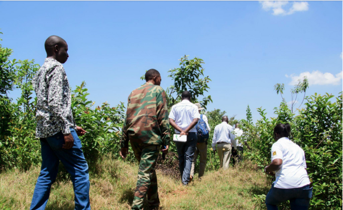 Delegation together with Kenya Forest Service officers visiting a part of the forest area that needs restoration due to guava invasion.