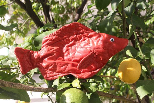 Wellness BAG, Modell Doktorfisch "Deep Fish 42"