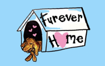 Furever Home - clicking on this link will take you to ticketing