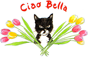Ciao Bella Acrylic Block 10x15 cm with Grid Lines